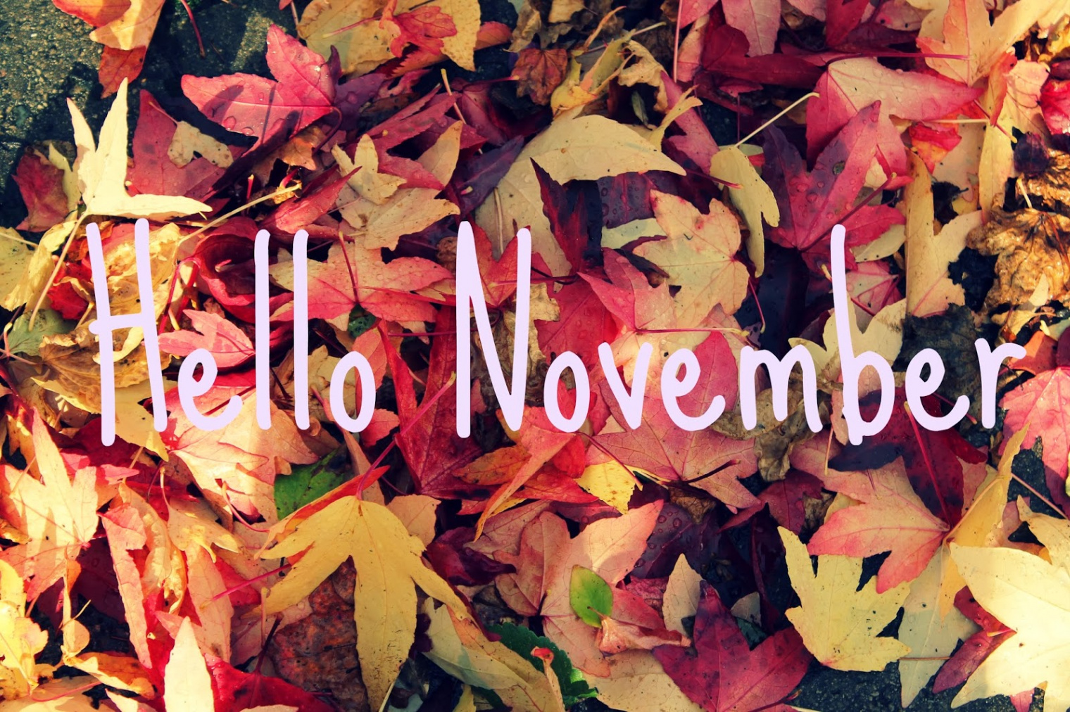 All About the Benjamins: Hello November