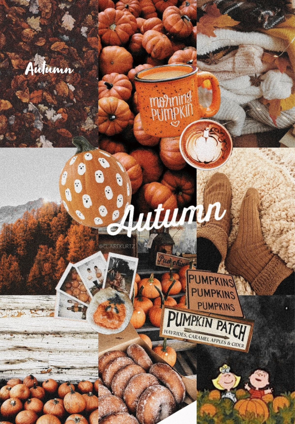 Autumn Fall Aesthetic VSCO Collage iPhone Wallpaper  Halloween