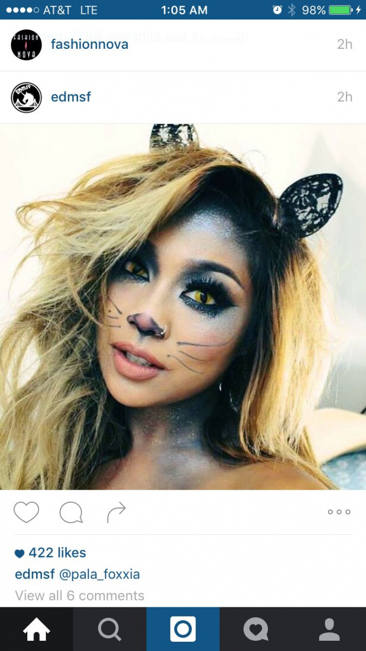 Cat makeup  Halloween makeup diy, Halloween makeup, Cat halloween