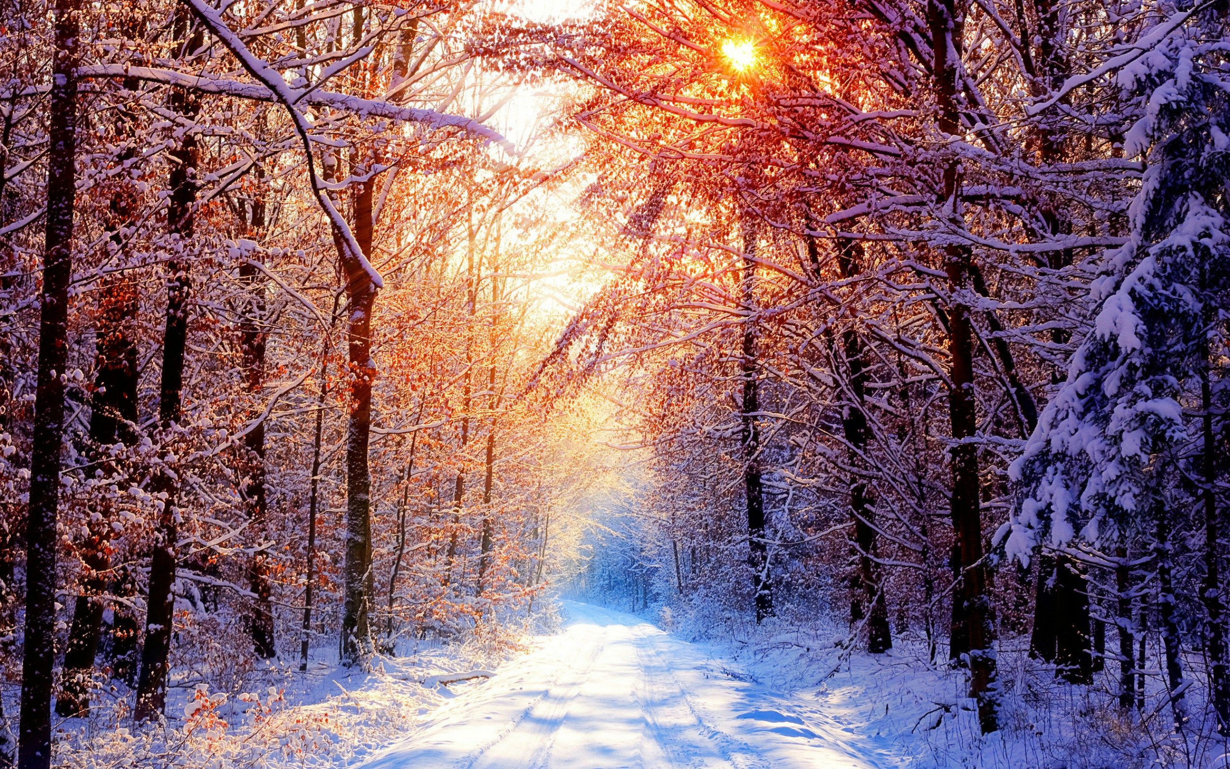 Check the best collection of Winter Desktop Wallpaper for desktop