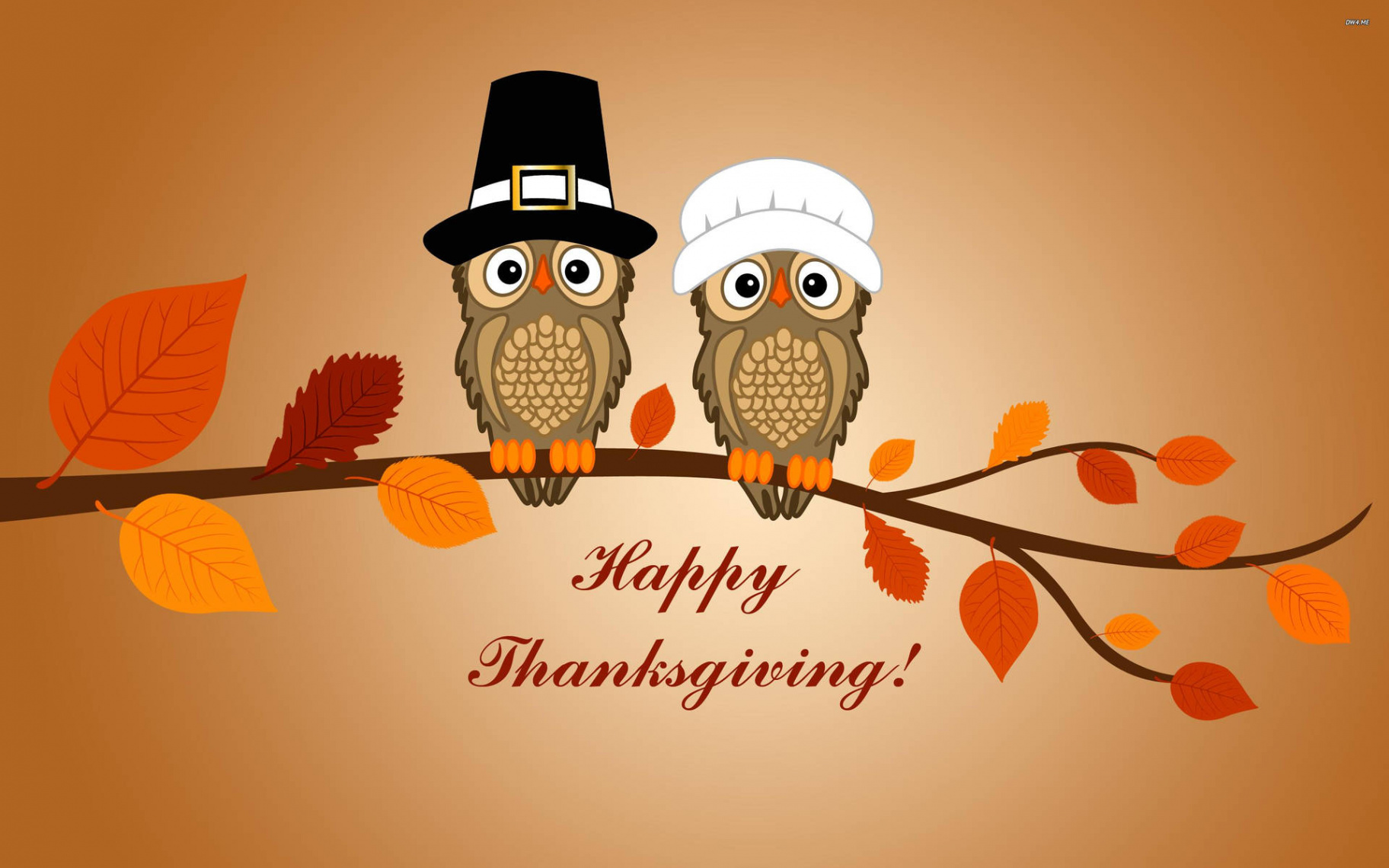 Download Cute Thanksgiving Owl Art Wallpaper  Wallpapers