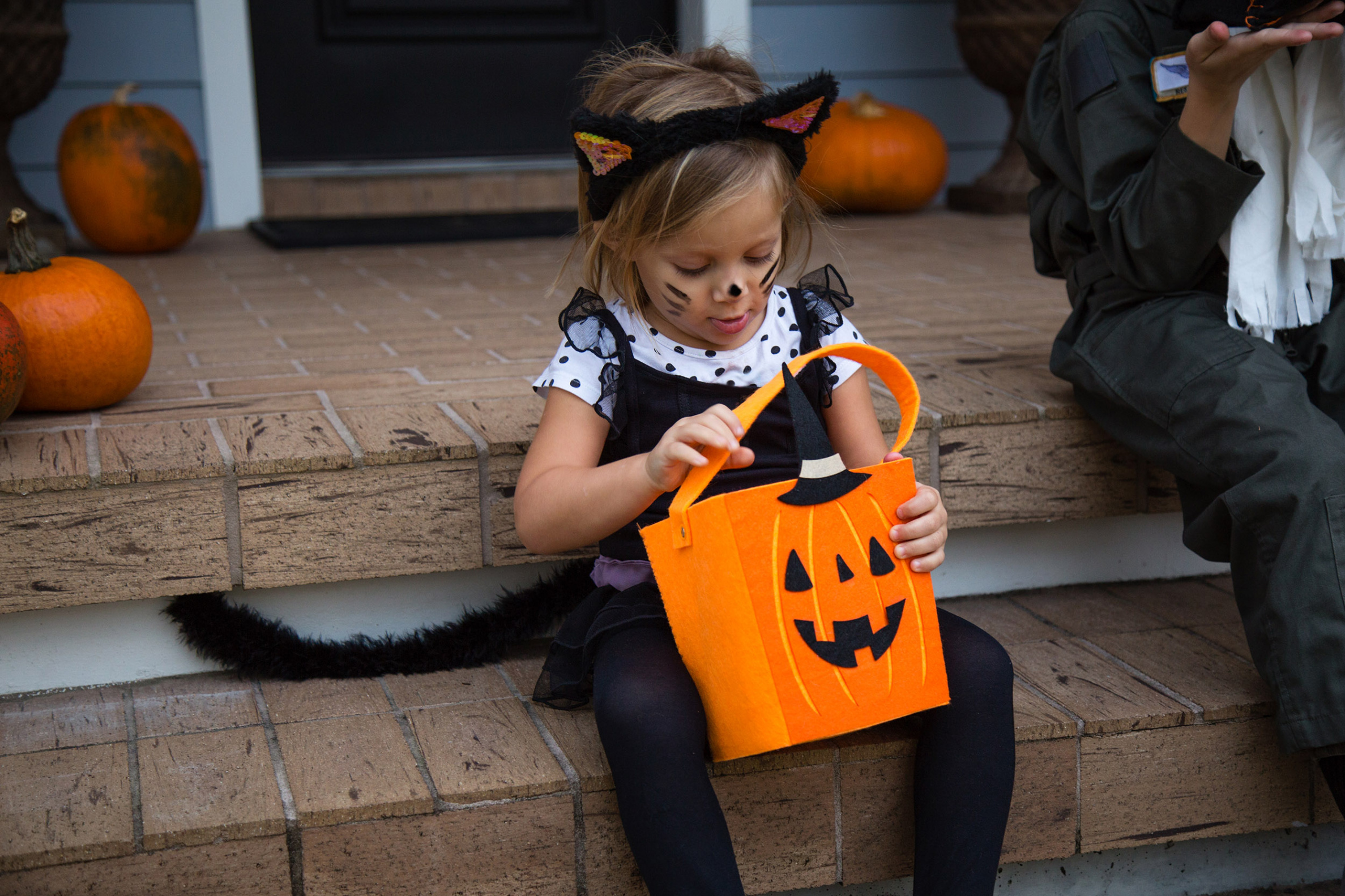 Easy Cat Halloween Makeup Ideas for Kids and Adults