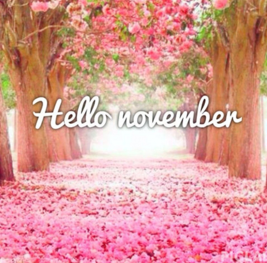 Hello November  Hello november, November quotes, Happy november