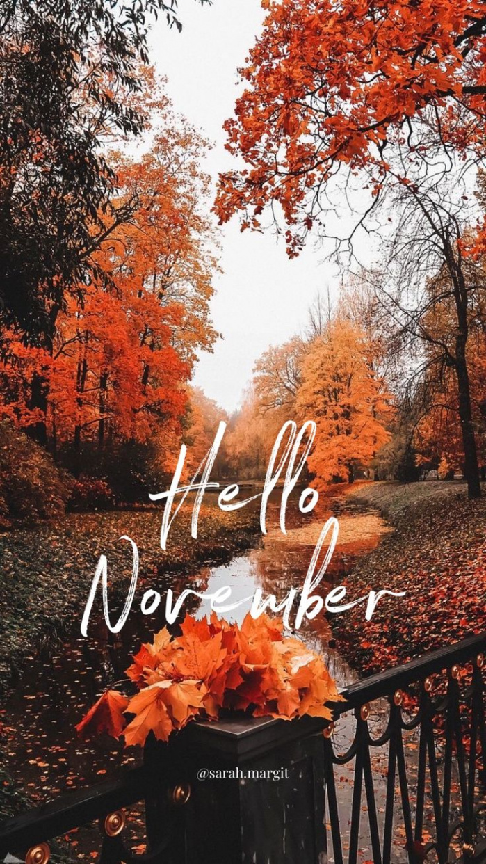 Hello November Wallpaper  November wallpaper, Hello november