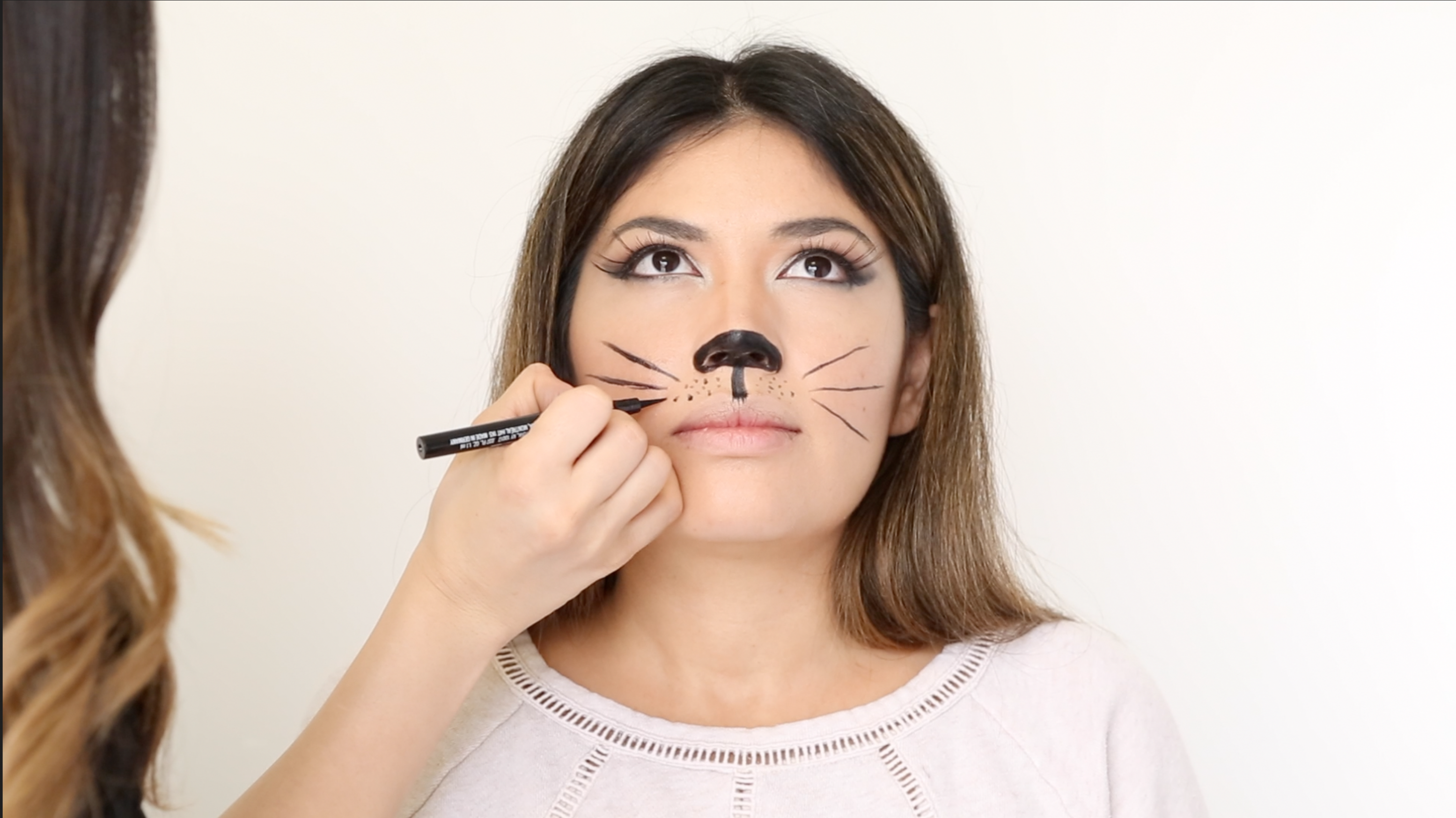 How to Make a Cat Face With Makeup  ehow