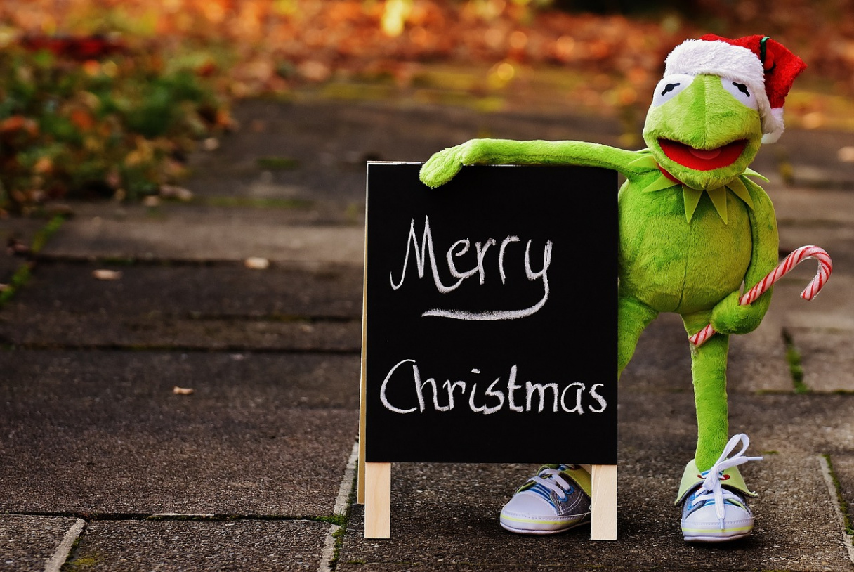 Kermit Frog Christmas Santa - Free photo on Pixabay - Pixabay