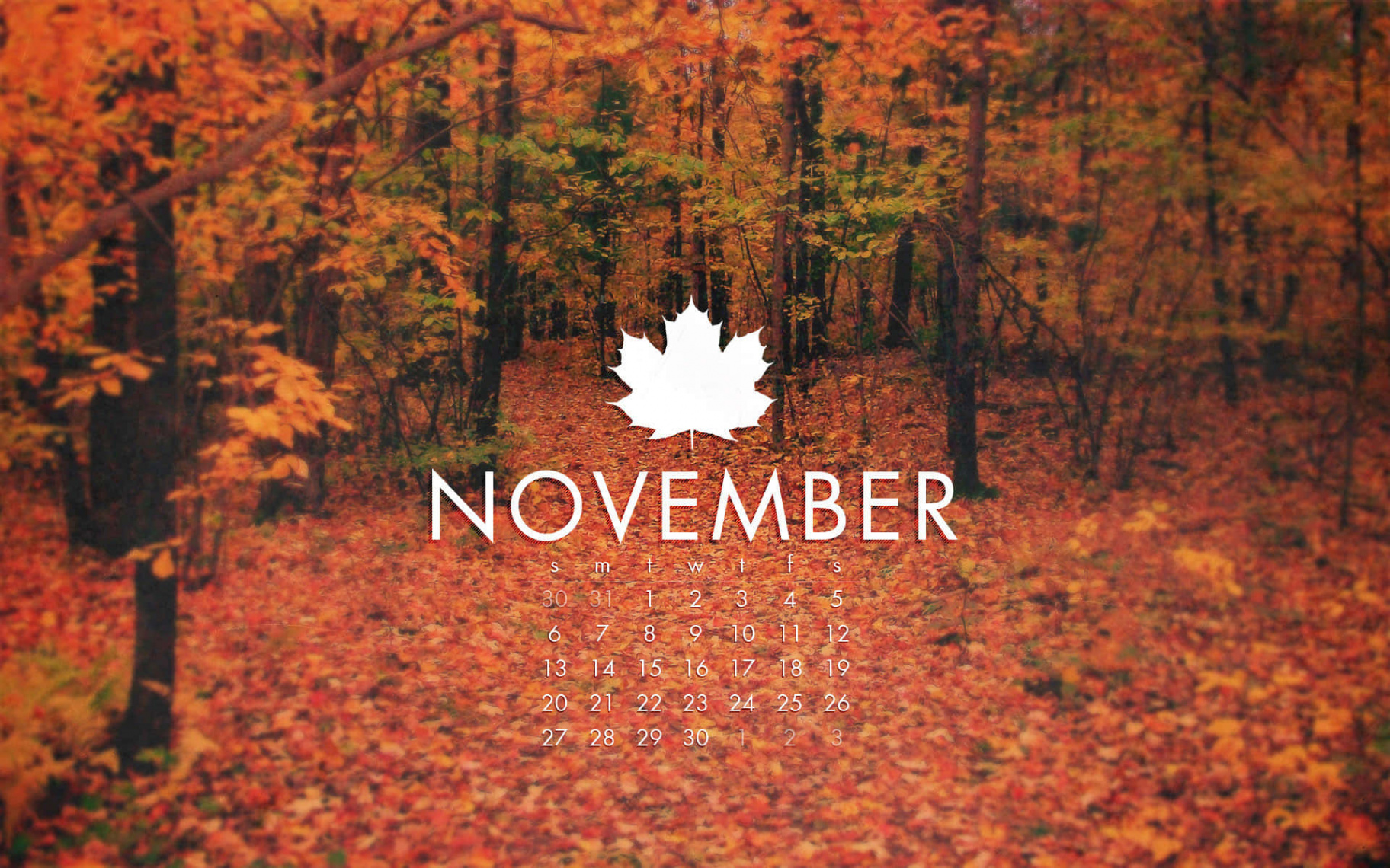 +] November Backgrounds  Wallpapers