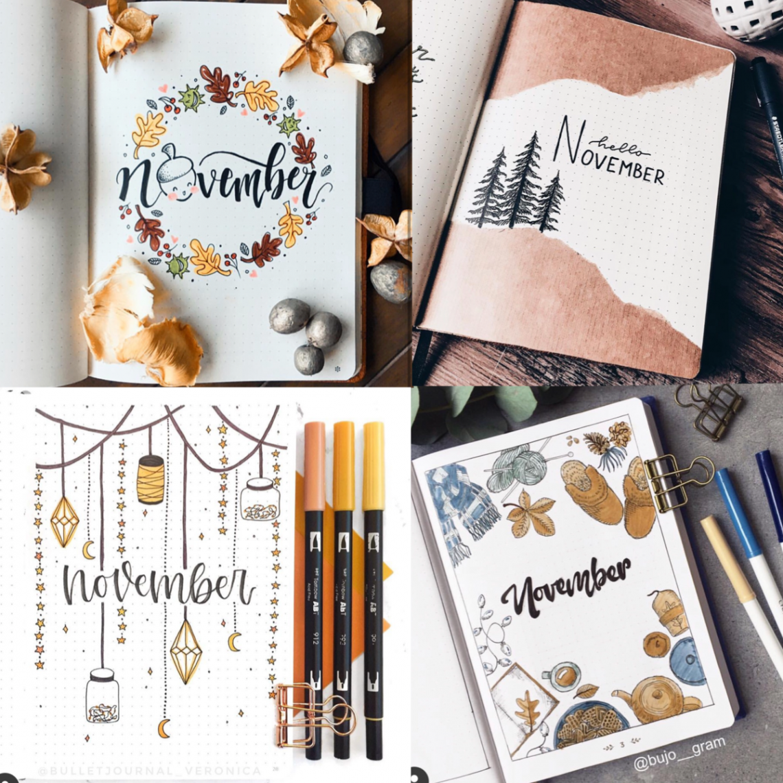 November Bullet Journal Inspiration - Rae