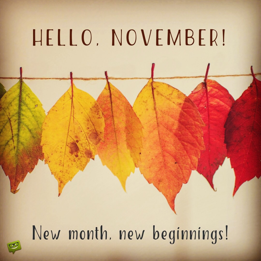 November ~ New Month, New Beginnings!  Thanks for Reading my