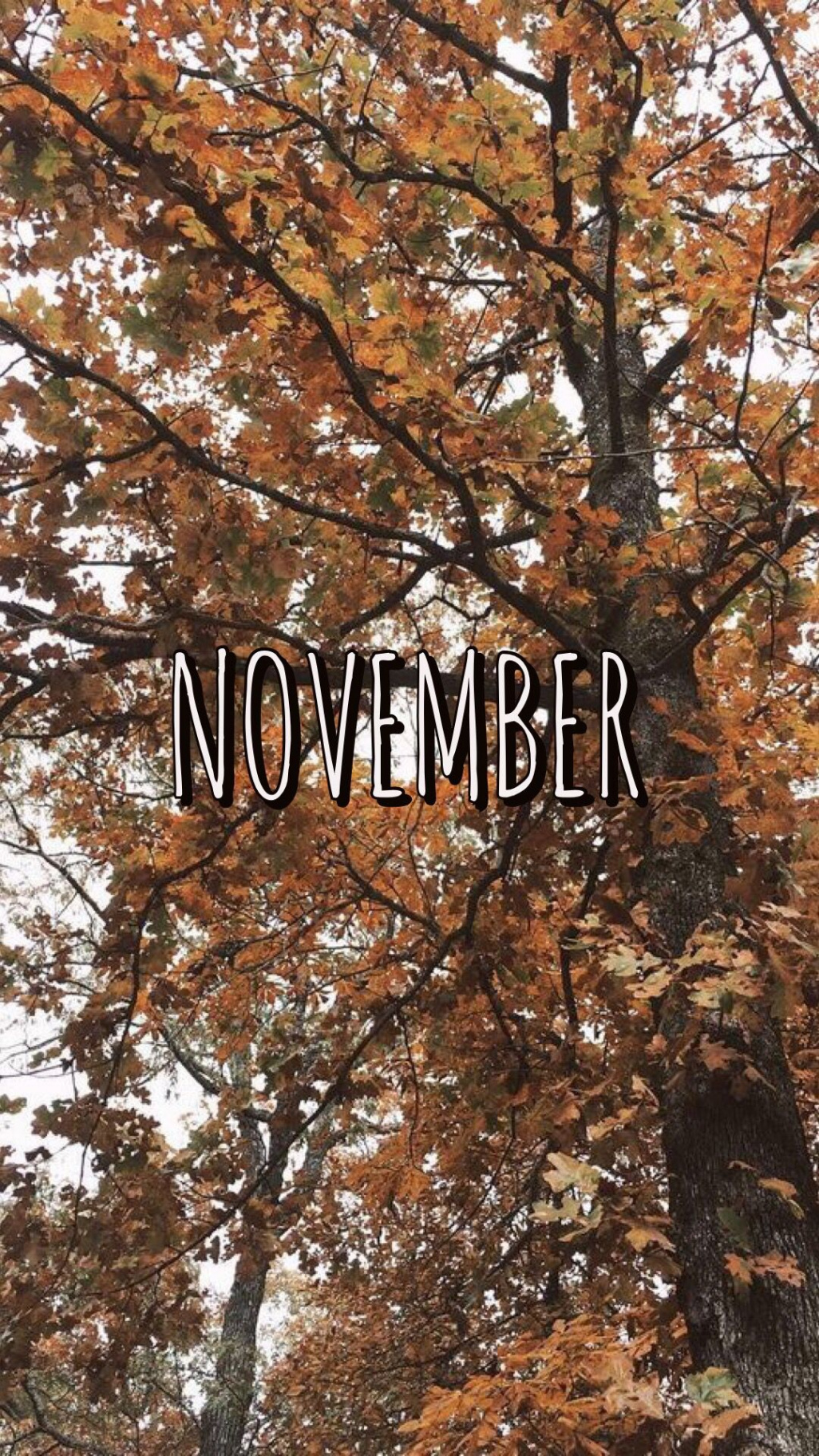 november wallpaper  November wallpaper, Free fall wallpaper, Fall