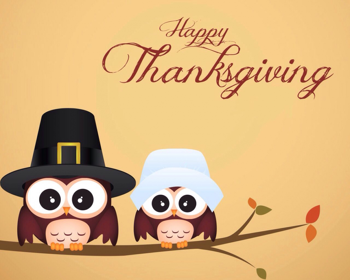 pilgrim owls  Happy thanksgiving pictures, Thanksgiving wallpaper