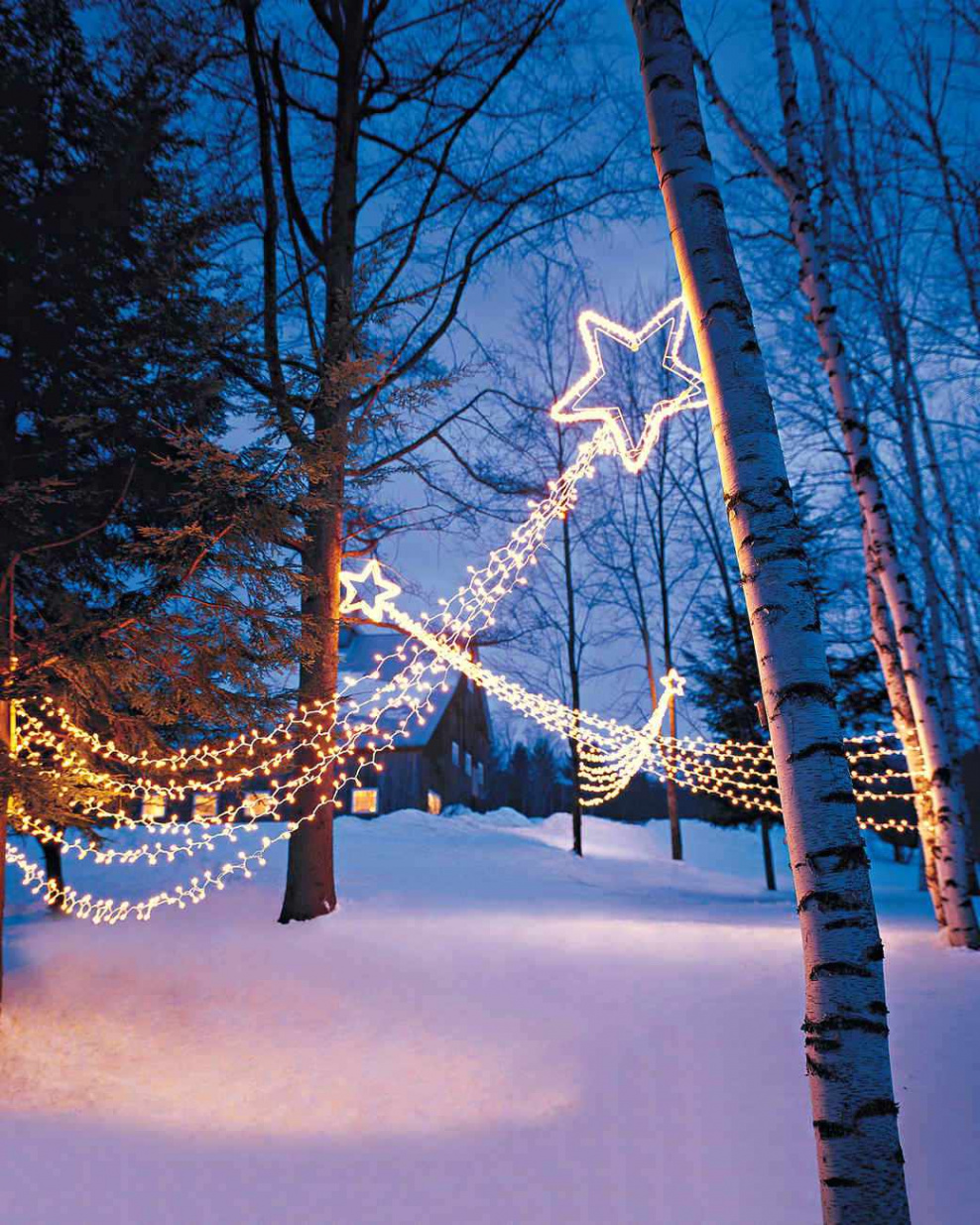 Shooting Star Outdoor Lights