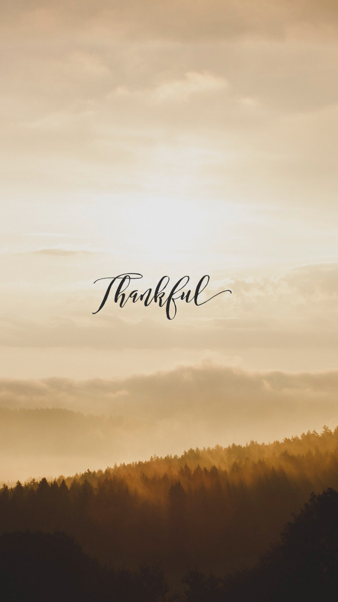 Thankful #november #autumn #thanksgiving #wallpaper #edit