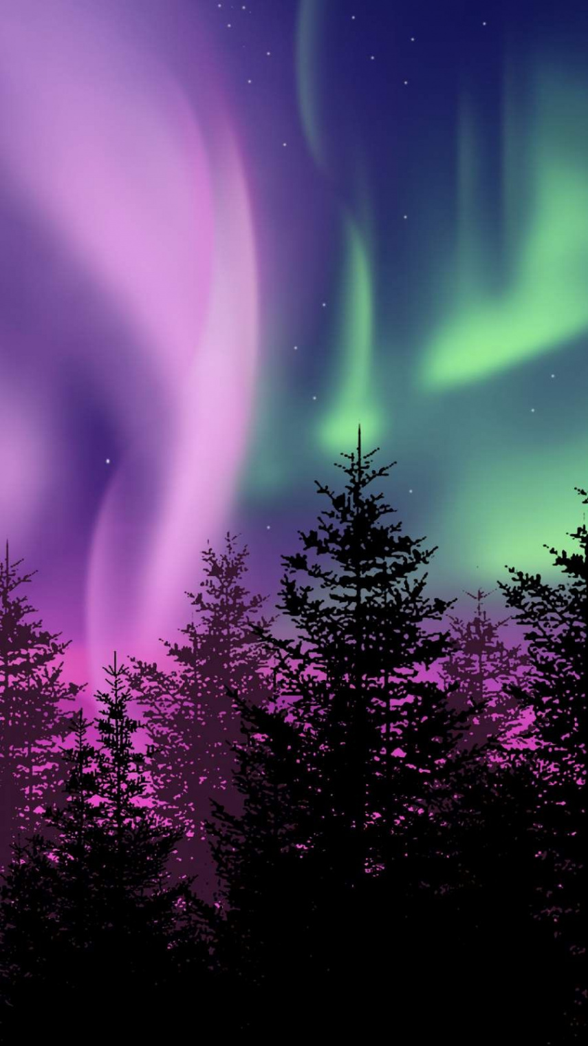 Winter Northern Lights iPhone Wallpaper  Northern lights