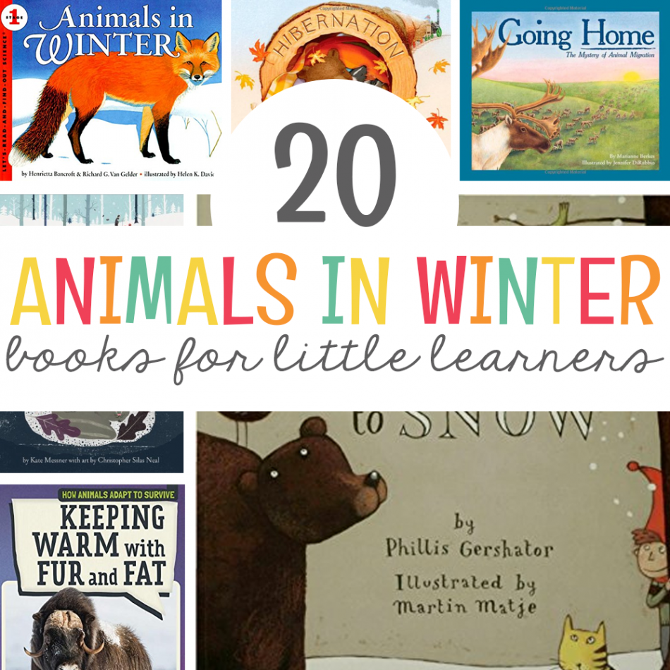 Animals in Winter Books - Mrs