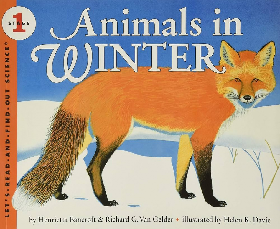 Animals in Winter (Let