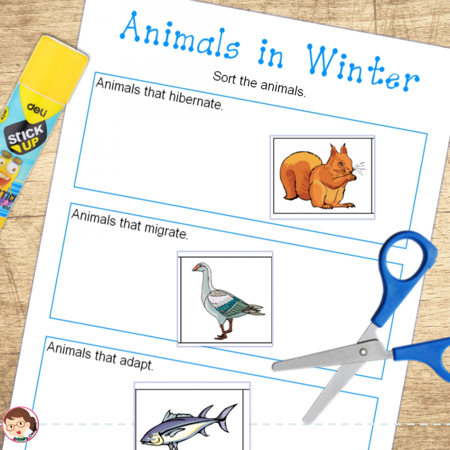 Animals in Winter Preschool and PreK Literacy Activities