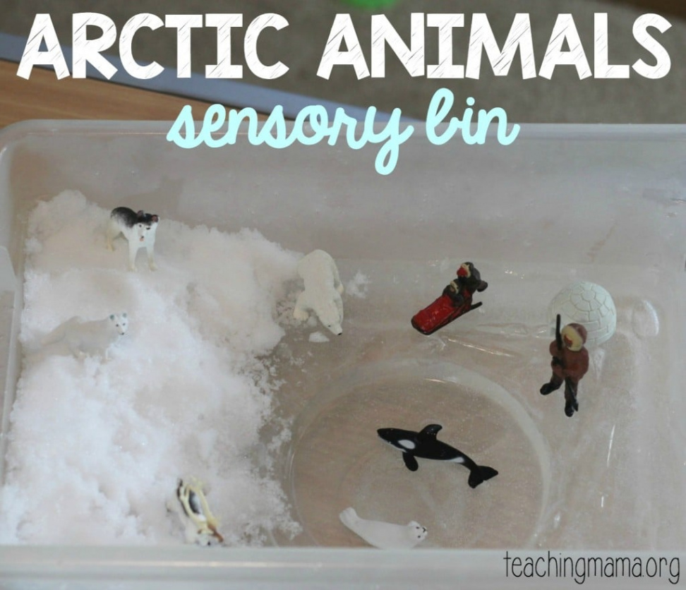 Arctic Animals Sensory Bin - Teaching Mama