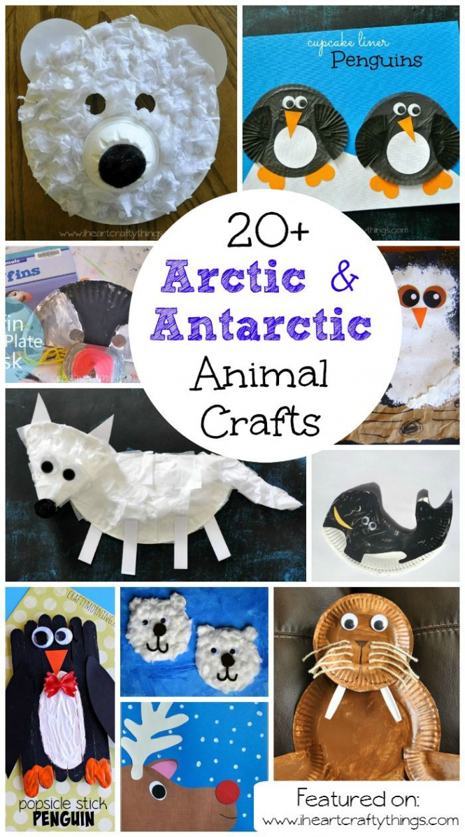 Best Winter Animal Crafts for Kids  Arctic animals crafts, Winter