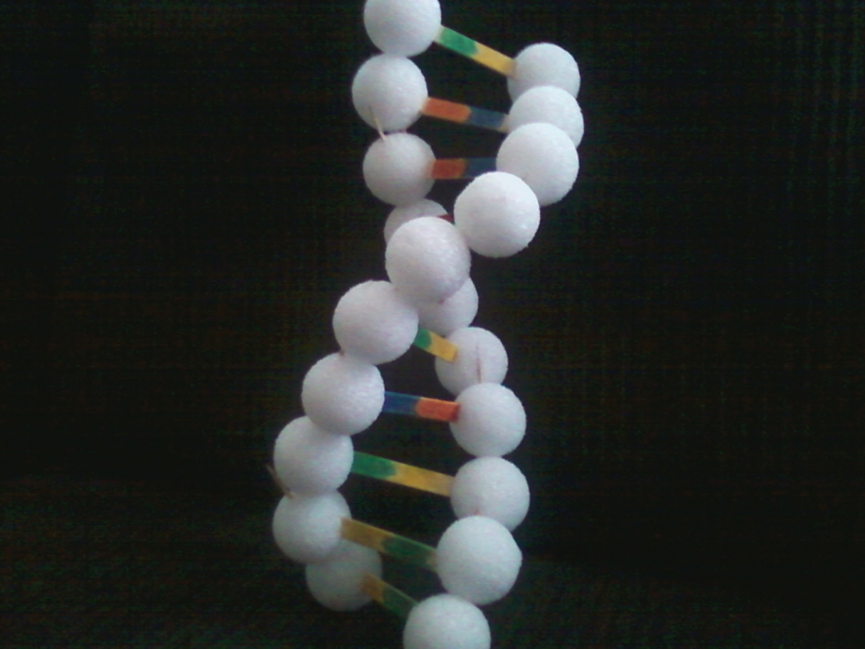 Bio  Lab : DNA and RNA  journeyoflight