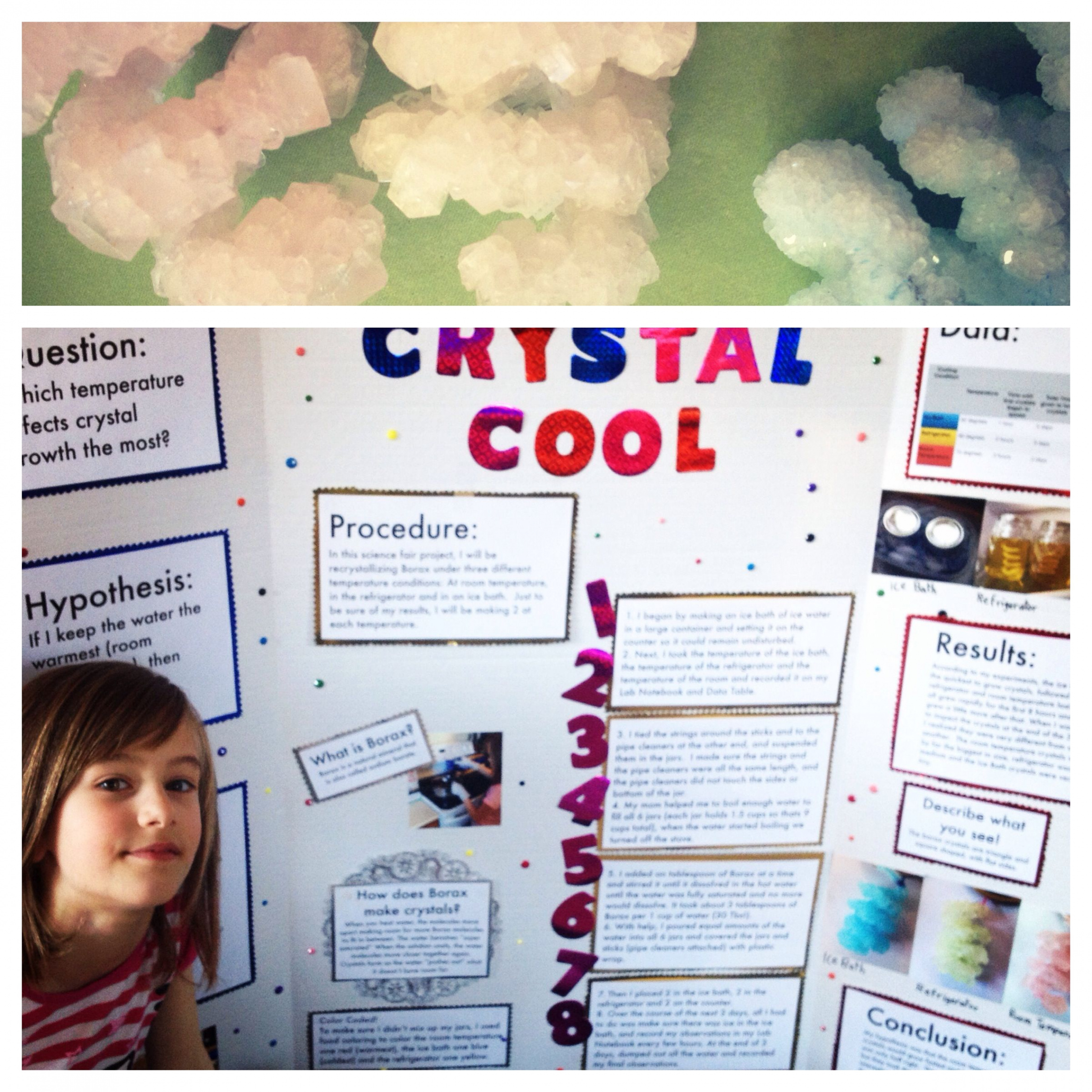 Borax Crystals for the Science Fair  Cool science fair projects