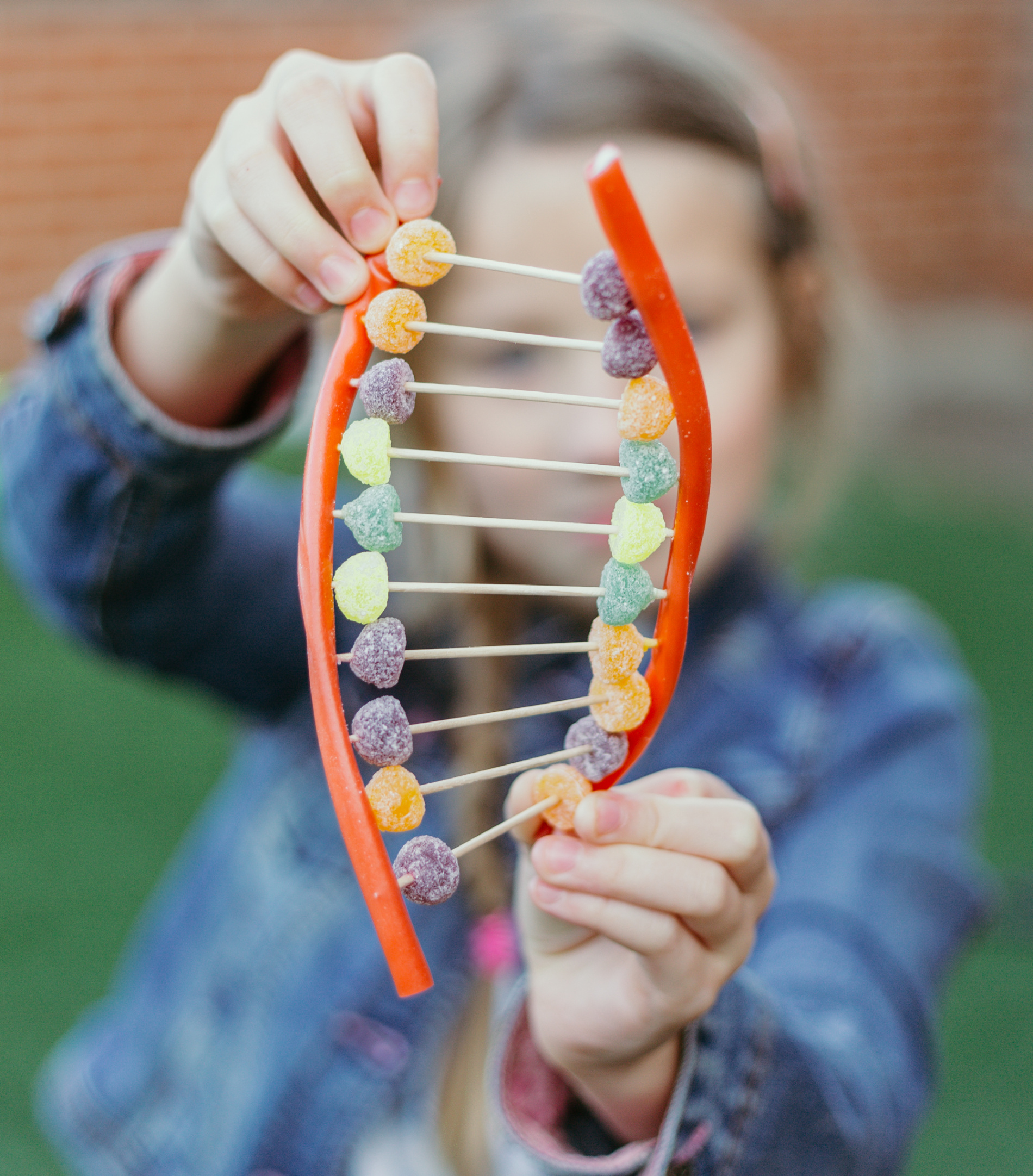 Candy DNA Model - Edible Science Experiment