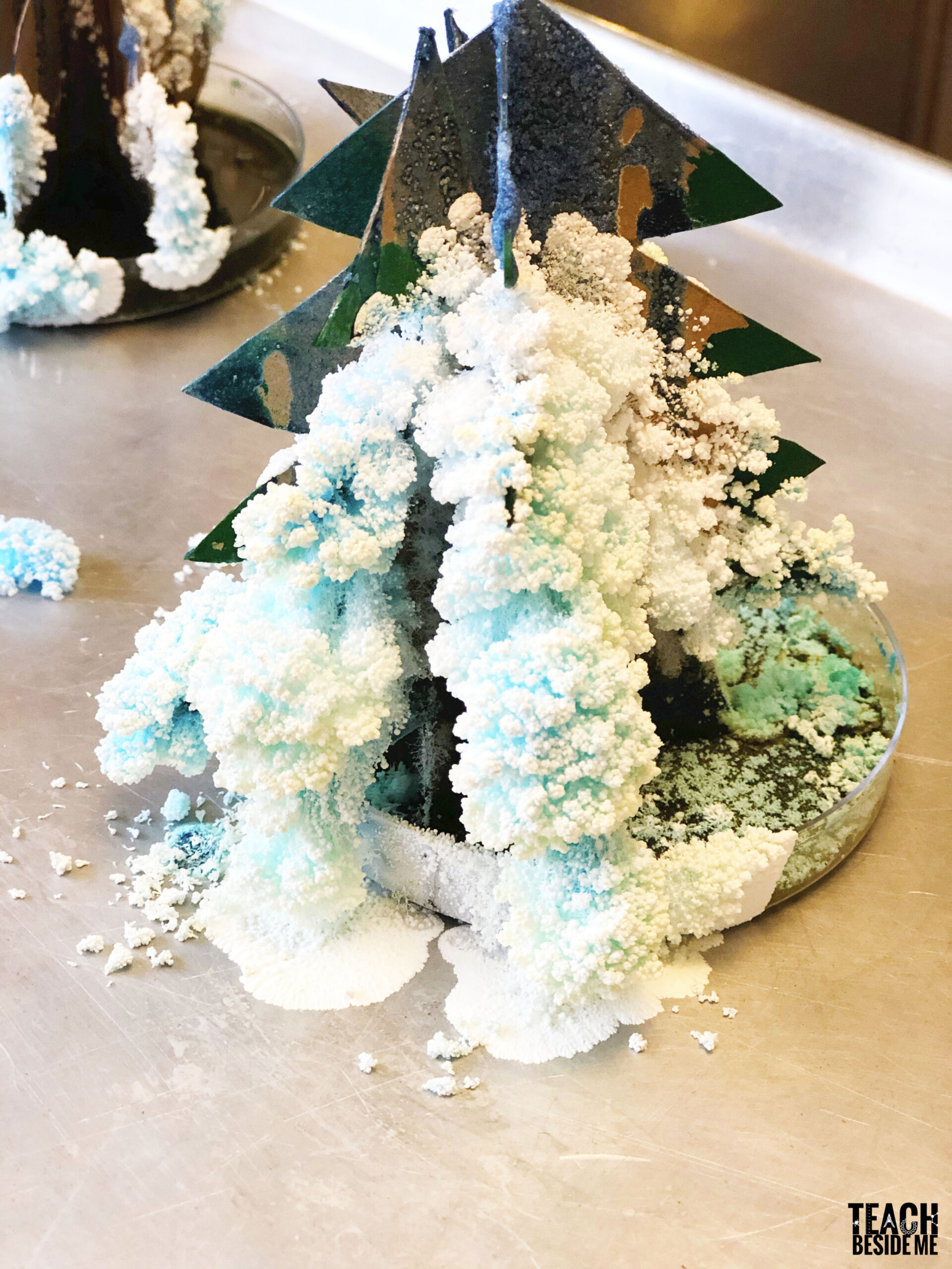 Christmas Science: Grow a Crystal Tree - Teach Beside Me