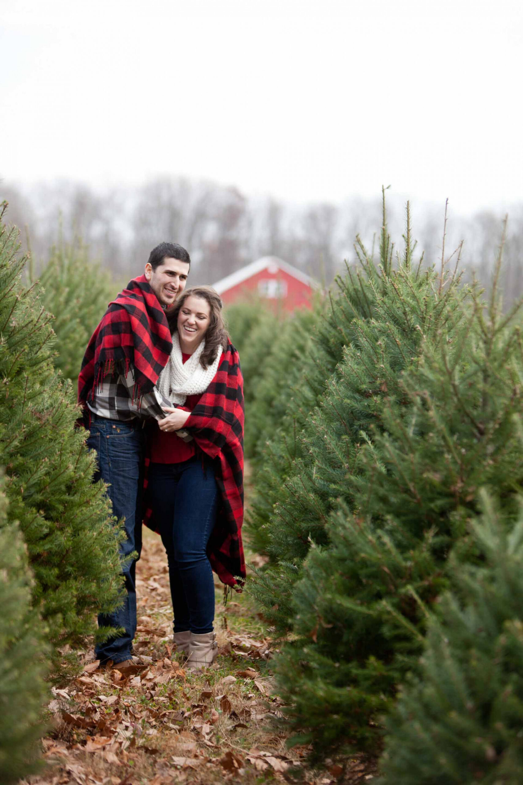 Christmas Tree Farm Engagement Session - Baltimore Wedding