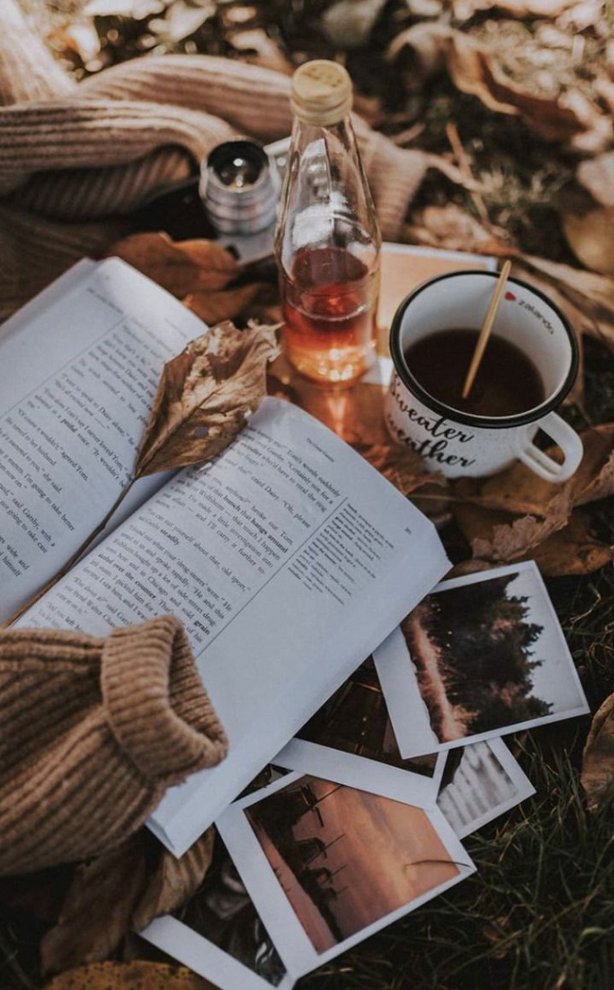 Cozy Vibes  Christmas aesthetic, Book wallpaper, Autumn photography