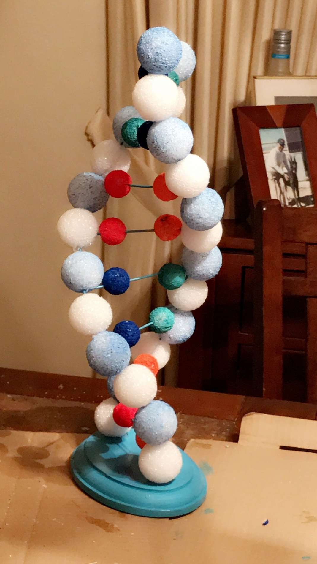 DNA Model made from x inch wire mesh and styrofoam balls