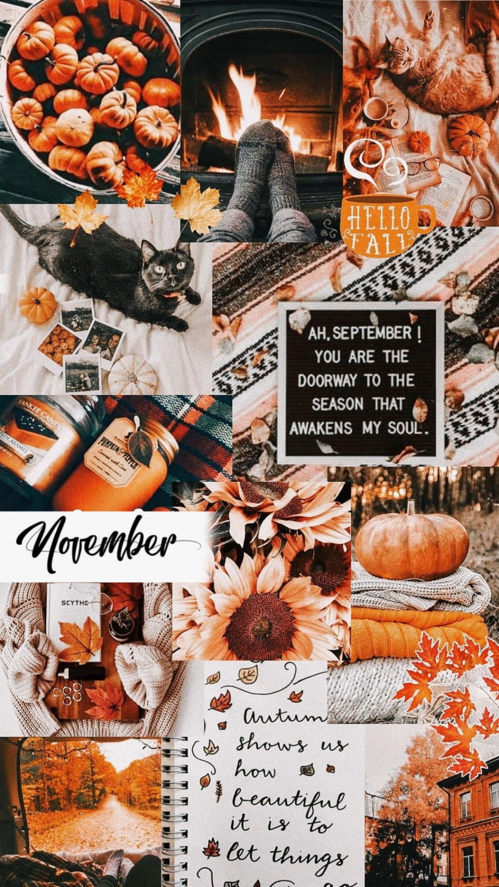 Download Welcome to the cozy month of November! Wallpaper