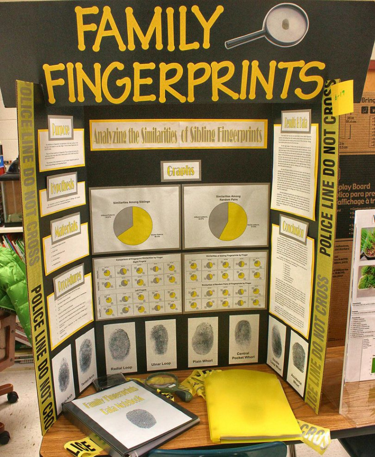 Easy Peasy Science Fair Projects  Great Science Project Boards