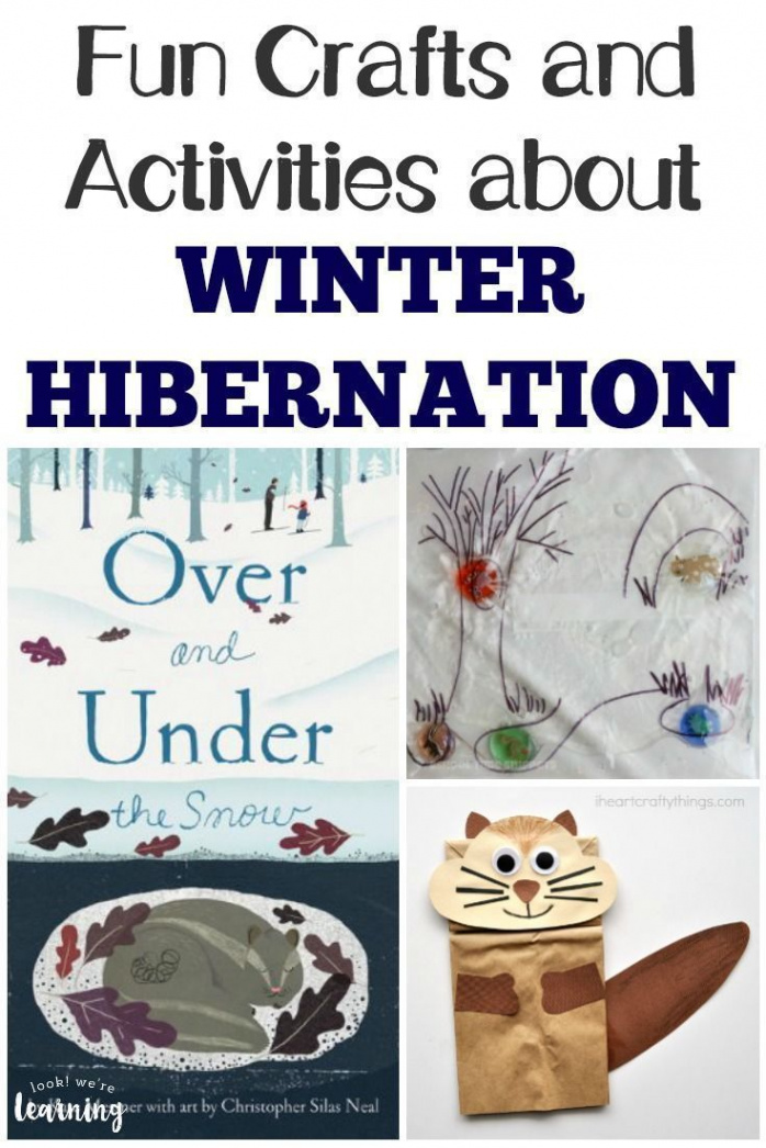 Fun Activities about Hibernation for Kids!  Winter activities