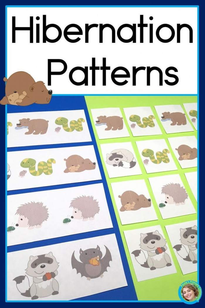 Hibernating Animals  Hibernation Patterns Math Center with AB ABC