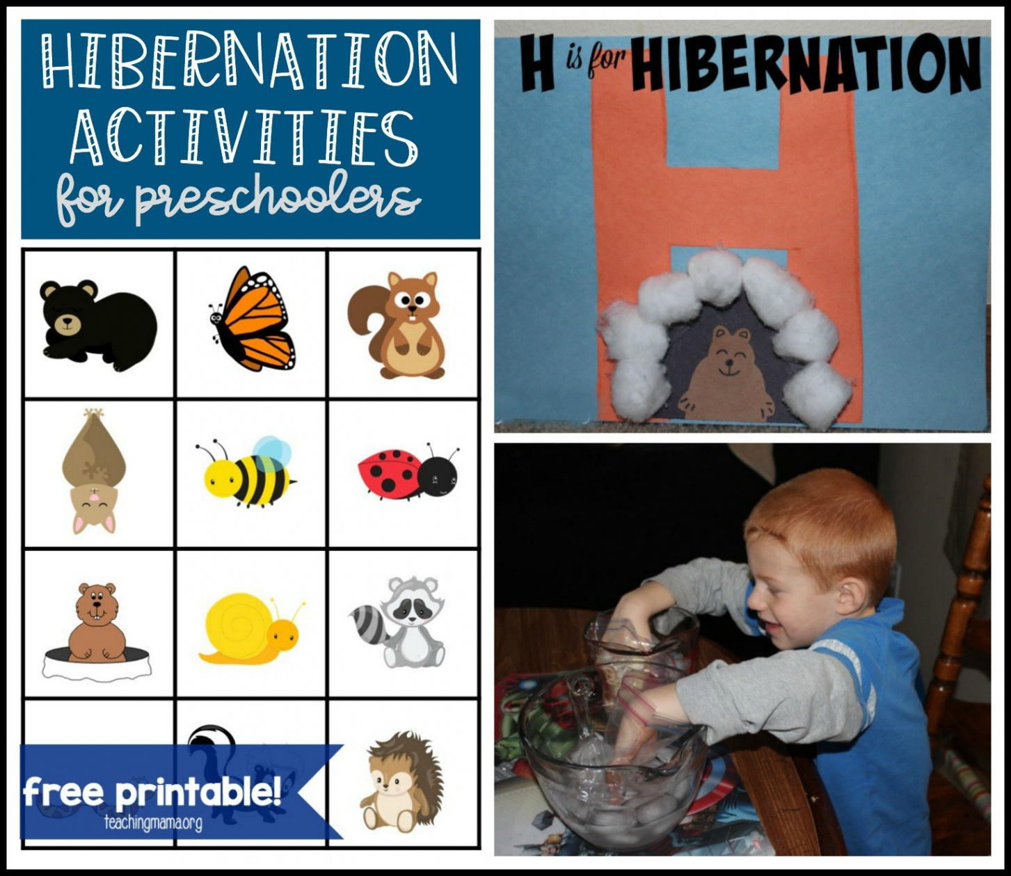 Hibernation Activities for Preschoolers - Teaching Mama