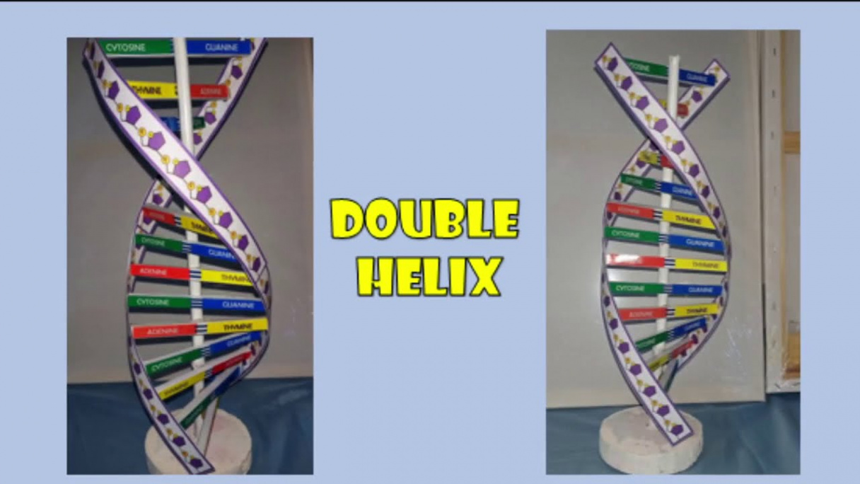 How to Make D DNA Model (from paper & stick)