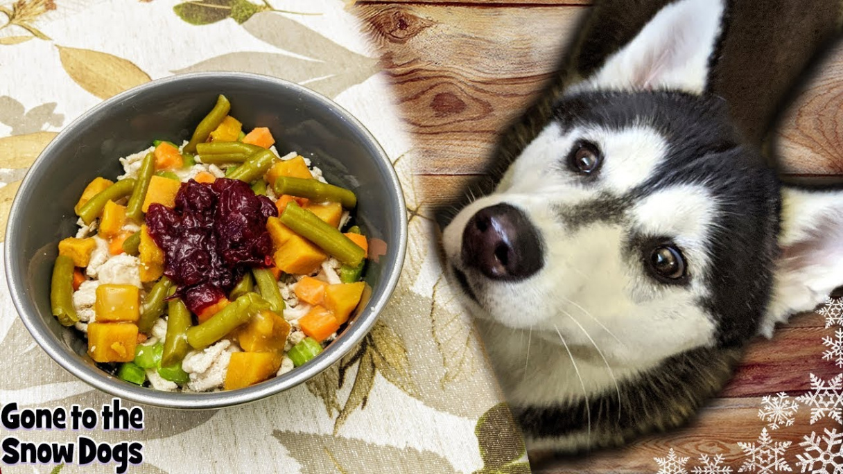 How to Make Thanksgiving Dinner For Dogs  DIY Dog Treats