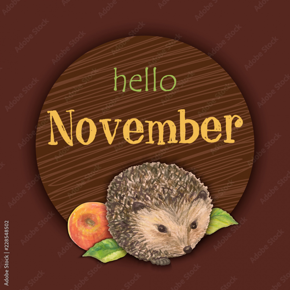 Illustration with the yellow lettering Hello November and with