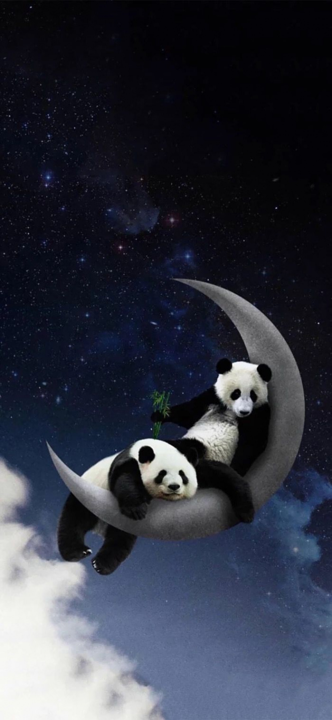 iPhone  Pro Max Wallpaper  Panda bears wallpaper, Panda