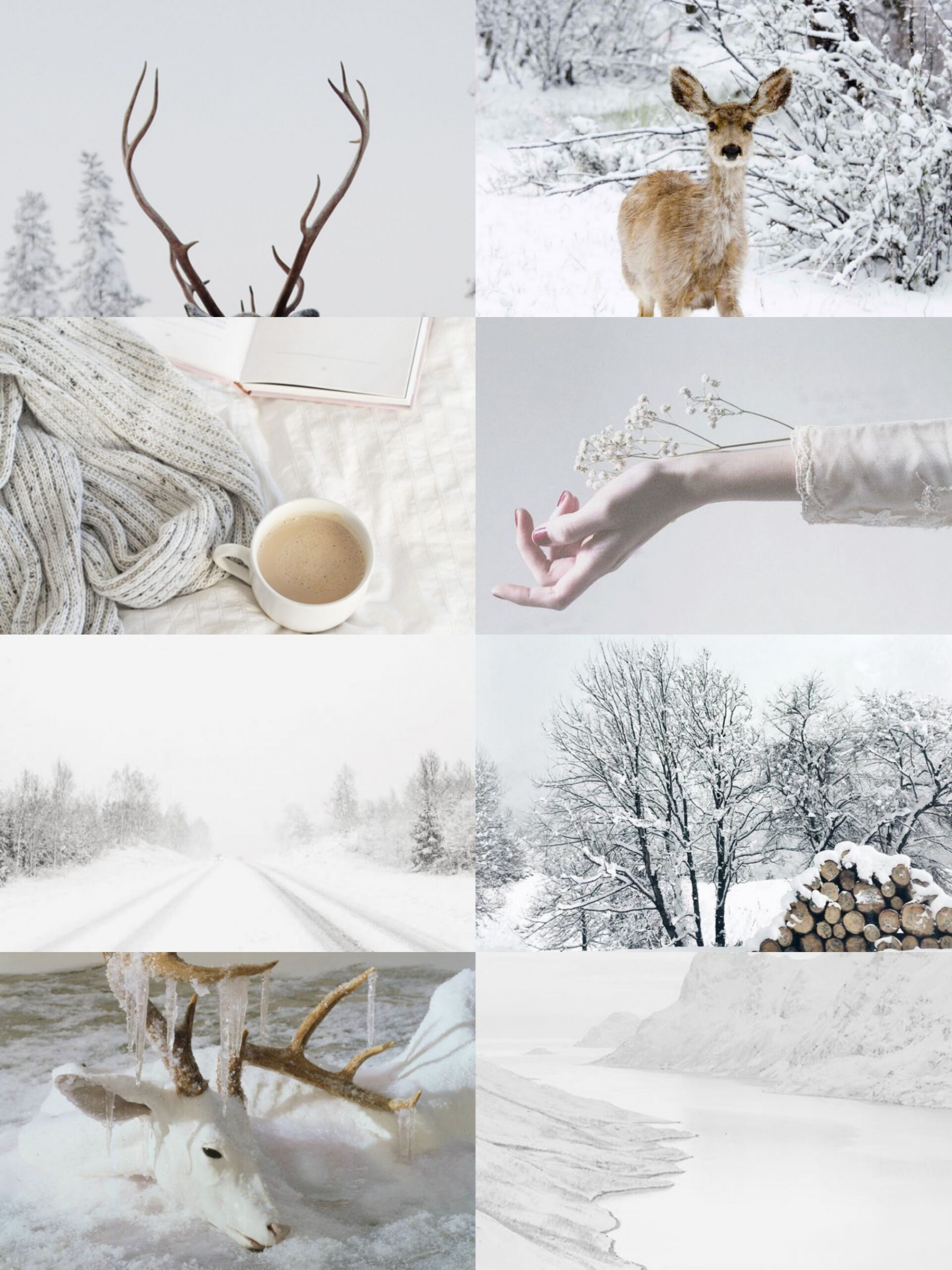 January mood board aesthetics  January wallpaper, Mood board