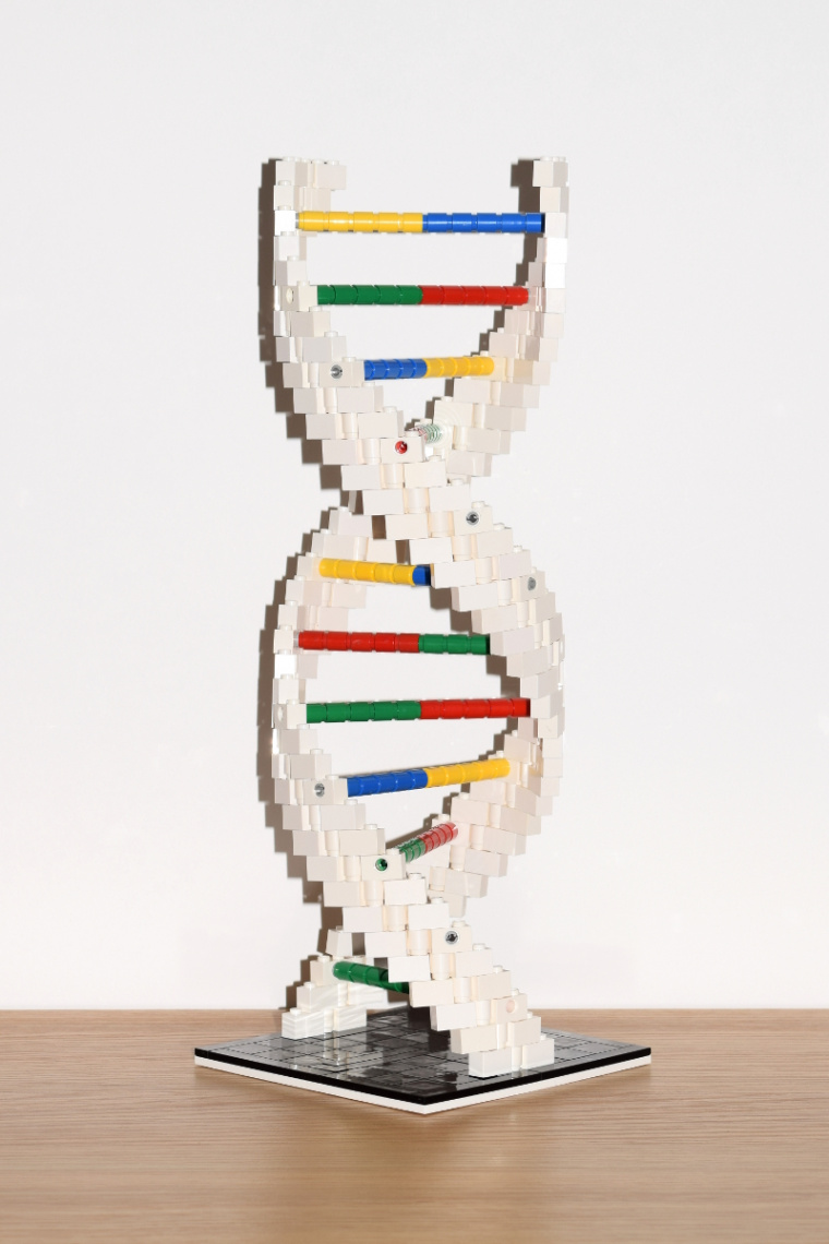 Lego DNA Double Helix - Brick Twist