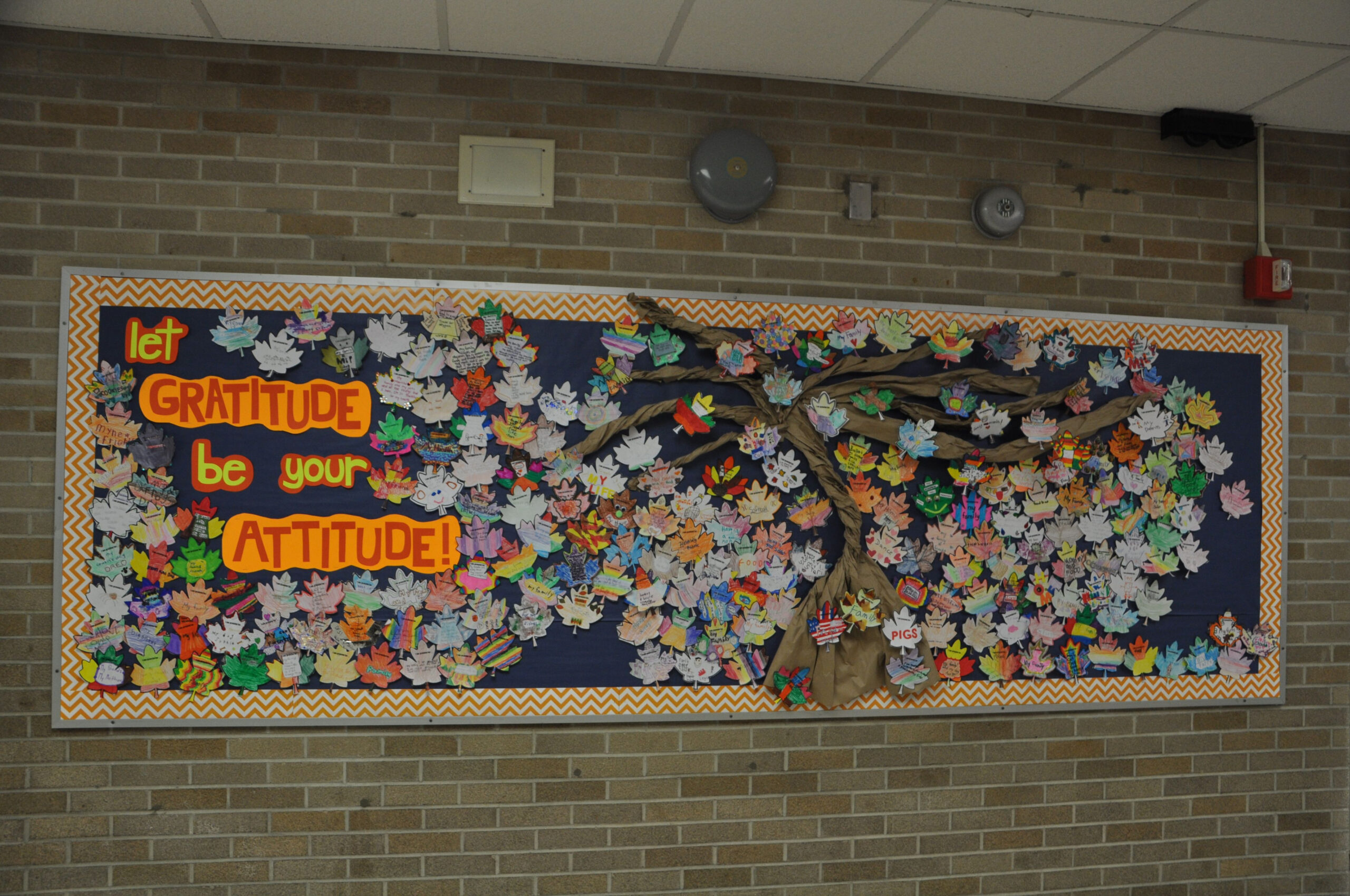 Let Gratitude Be Your Attitude" bulletin board for Thanksgiving