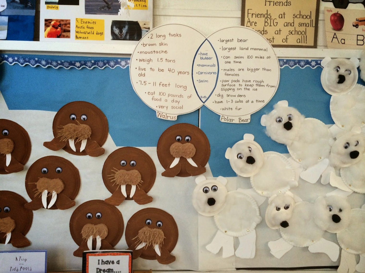 Malibu Mutts-KthruinMalibu: Peek In Our Classrooms  Winter