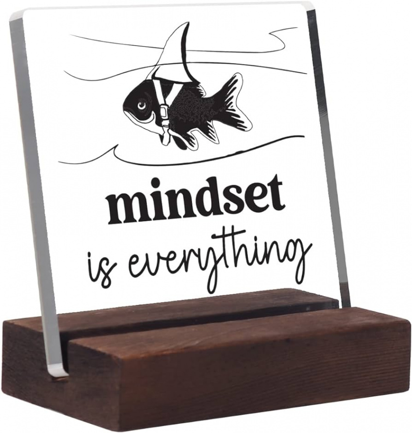 Mindset Inspirational Gifts for Coworkers and Friends, Mindset is