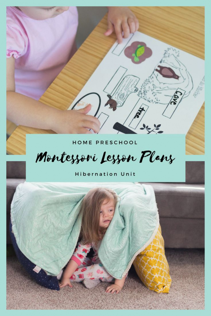 Montessori Week -Hibernation: Printables and Activities  Toddler