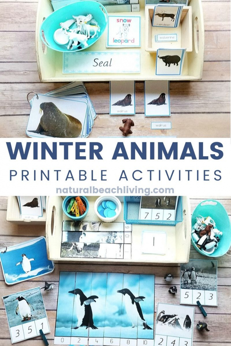 Montessori Winter Animals Theme Activities