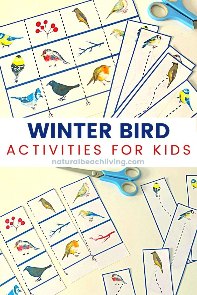 Montessori Winter Bird Activities - Natural Beach Living