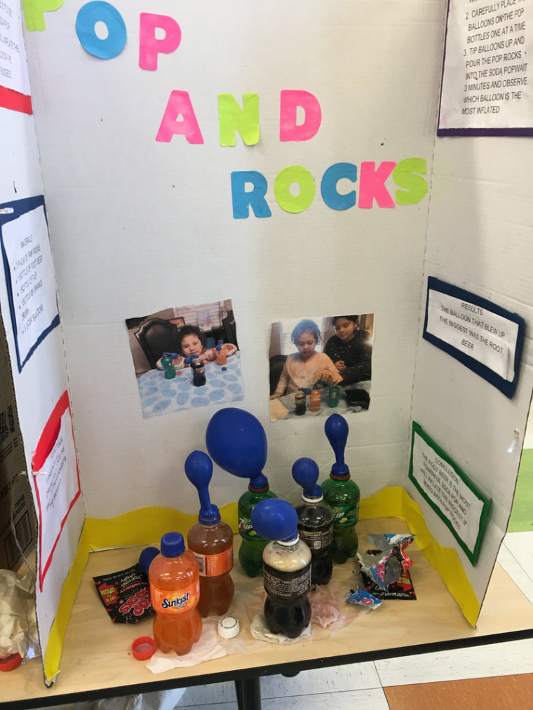 nd Grade Science Fair - 019 - Canty School - A Fine and