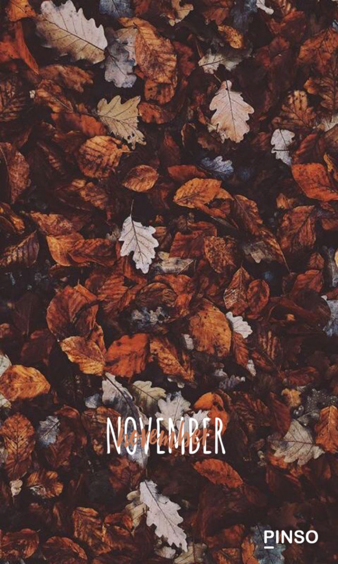 November background  Autumn leaves wallpaper, November wallpaper