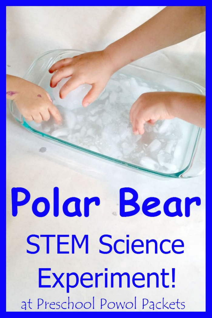 Polar Bear Science Experiment STEM  Polar animals preschool